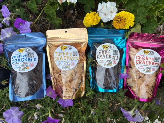 From My Kitchen to Yours : The Journey of Our Treat
