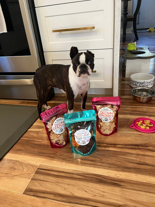 How to Feed a Picky Dog
