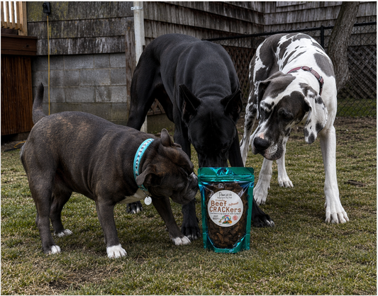 We don't need a Dog Park.  We have eachother.