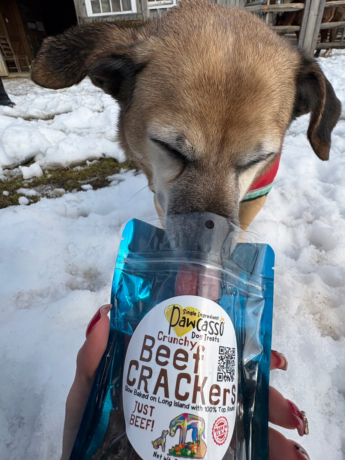Beef CRACKers Dog Treats